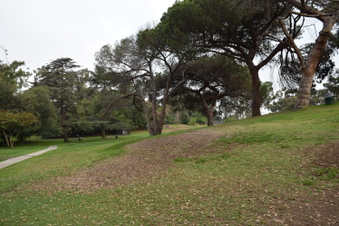 Enlarge photo 51