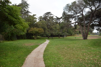Enlarge photo 52