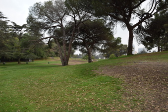 Enlarge photo 53