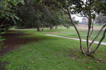 Enlarge photo 54