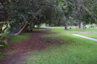 Enlarge photo 55