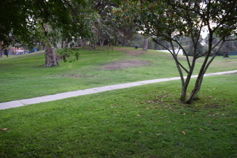 Enlarge photo 58