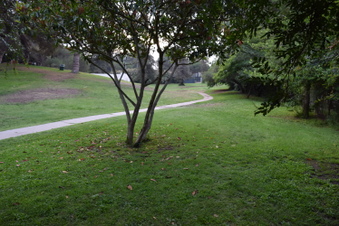 Enlarge photo 59
