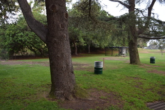 Enlarge photo 62