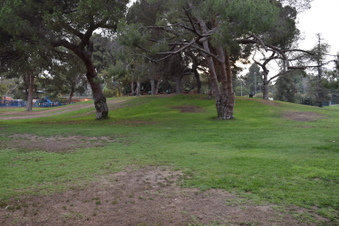 Enlarge photo 64