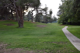 Enlarge photo 65