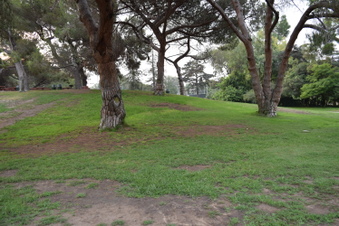 Enlarge photo 66