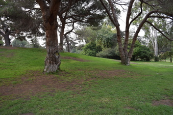 Enlarge photo 67