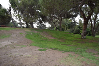 Enlarge photo 68