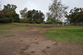 Enlarge photo 73