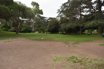 Enlarge photo 75