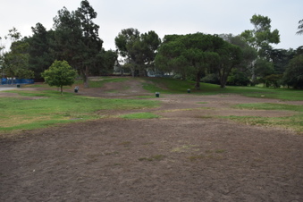 Enlarge photo 77