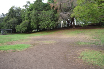 Enlarge photo 78