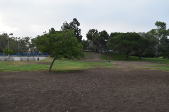 Enlarge photo 81