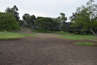 Enlarge photo 82