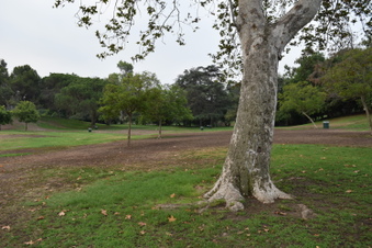 Enlarge photo 83