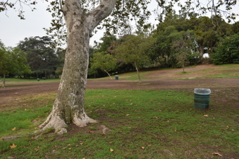 Enlarge photo 84