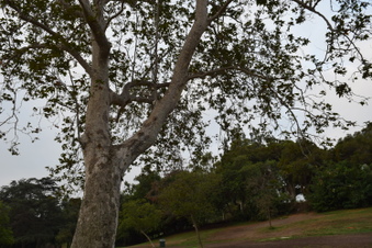 Enlarge photo 85