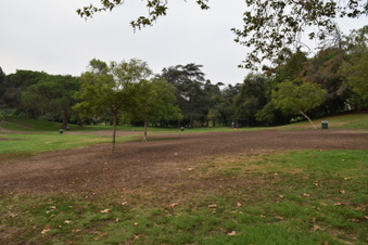 Enlarge photo 86