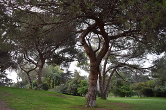Enlarge photo 1