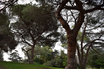 Enlarge photo 2