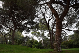 Enlarge photo 3