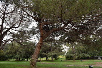 Enlarge photo 6