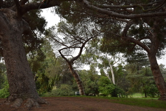 Enlarge photo 8
