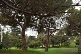 Cheviot Hills Rec