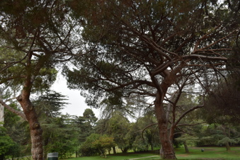 Enlarge photo 10