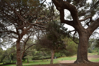 Enlarge photo 11