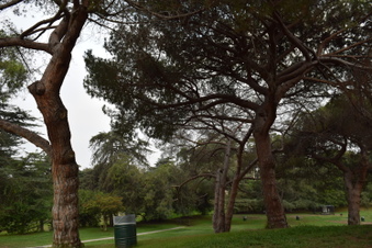 Enlarge photo 12