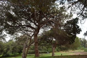Enlarge photo 14