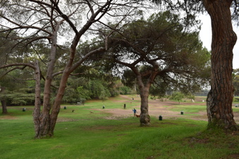 Enlarge photo 15