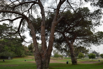 Enlarge photo 16
