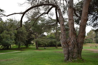 Enlarge photo 17