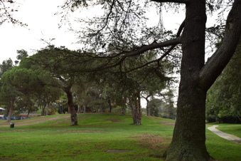 Enlarge photo 19