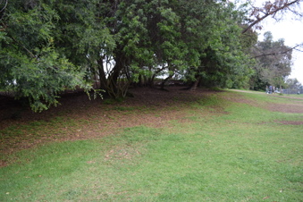 Enlarge photo 20