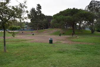 Enlarge photo 21