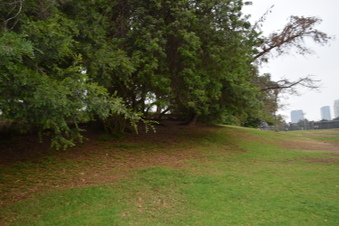 Enlarge photo 23