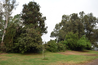 Enlarge photo 25