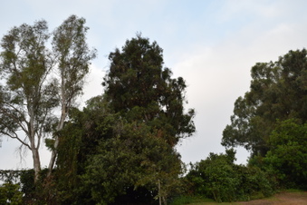 Enlarge photo 26