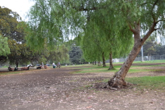 Enlarge photo 89