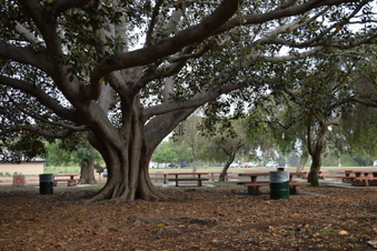 Enlarge photo 91