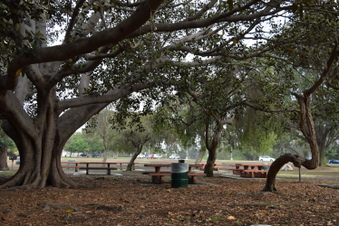 Enlarge photo 92
