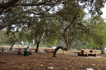 Enlarge photo 93