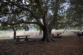 Enlarge photo 94