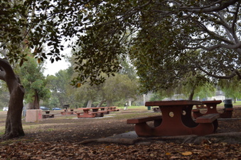 Enlarge photo 102