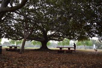 Enlarge photo 105