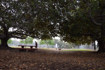 Enlarge photo 106